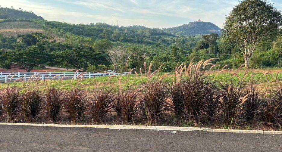 For sale land in Pak Chong, Nakhon Ratchasima