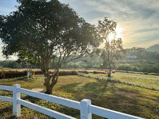 For sale land in Pak Chong, Nakhon Ratchasima