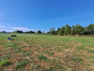 For sale land in Pak Chong, Nakhon Ratchasima