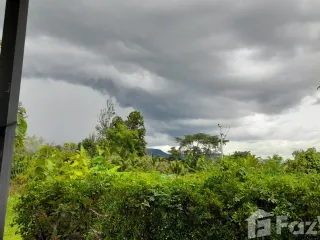 ขาย ที่ดิน ใน หนองวัวซอ, อุดรธานี