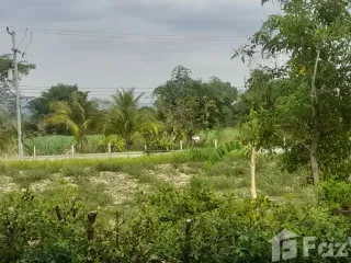 ขาย ที่ดิน ใน หนองวัวซอ, อุดรธานี