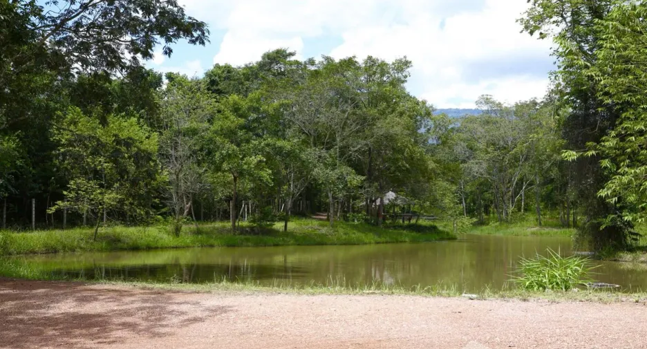 For sale land in Mueang Prachinburi, Prachin Buri
