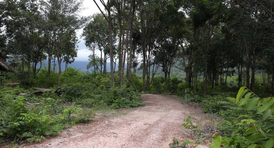 For sale land in Mueang Prachinburi, Prachin Buri