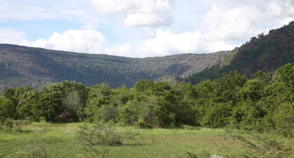 For sale land in Mueang Prachinburi, Prachin Buri