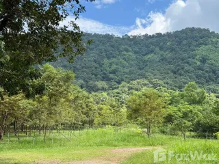For sale land in Mueang Prachinburi, Prachin Buri
