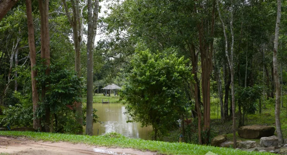 For sale land in Mueang Prachinburi, Prachin Buri
