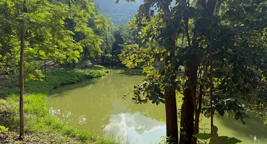 For sale land in Mueang Prachinburi, Prachin Buri