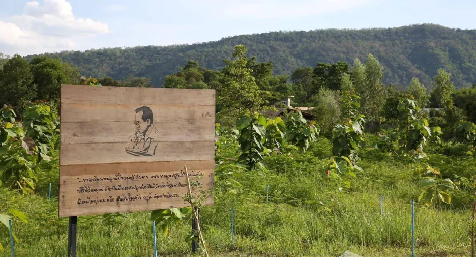For sale land in Mueang Prachinburi, Prachin Buri