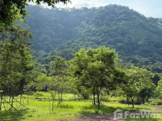For sale land in Mueang Prachinburi, Prachin Buri