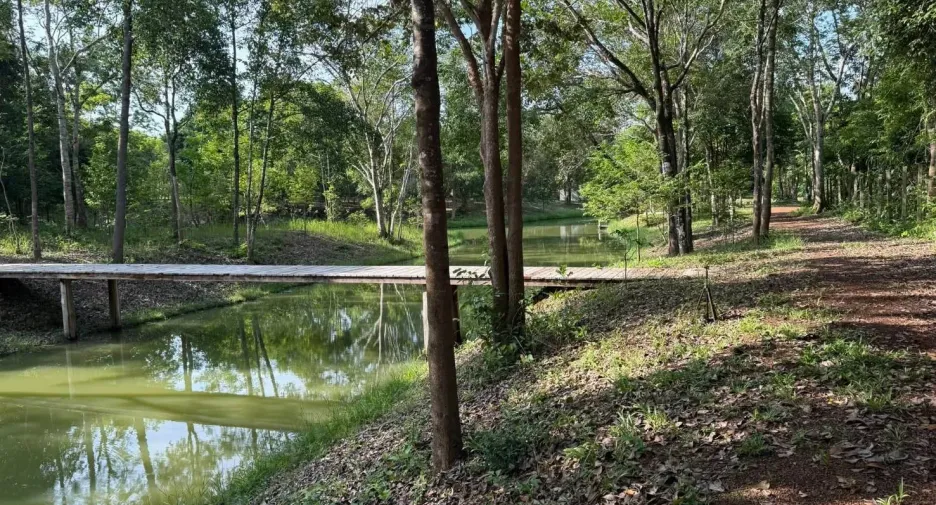 For sale land in Mueang Prachinburi, Prachin Buri