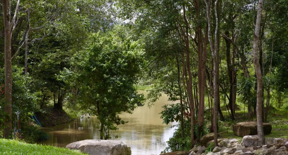 For sale land in Mueang Prachinburi, Prachin Buri