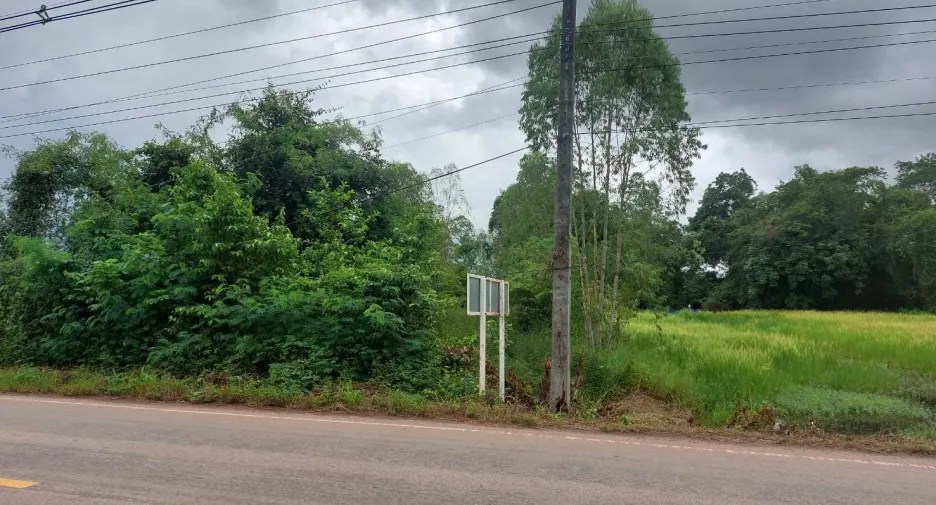 For sale land in Phen, Udon Thani