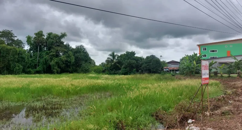 For sale land in Phen, Udon Thani