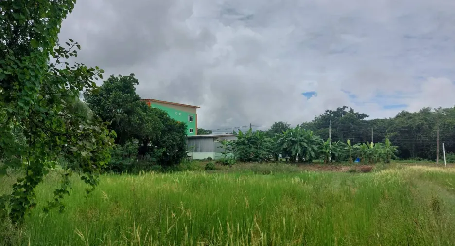For sale land in Phen, Udon Thani