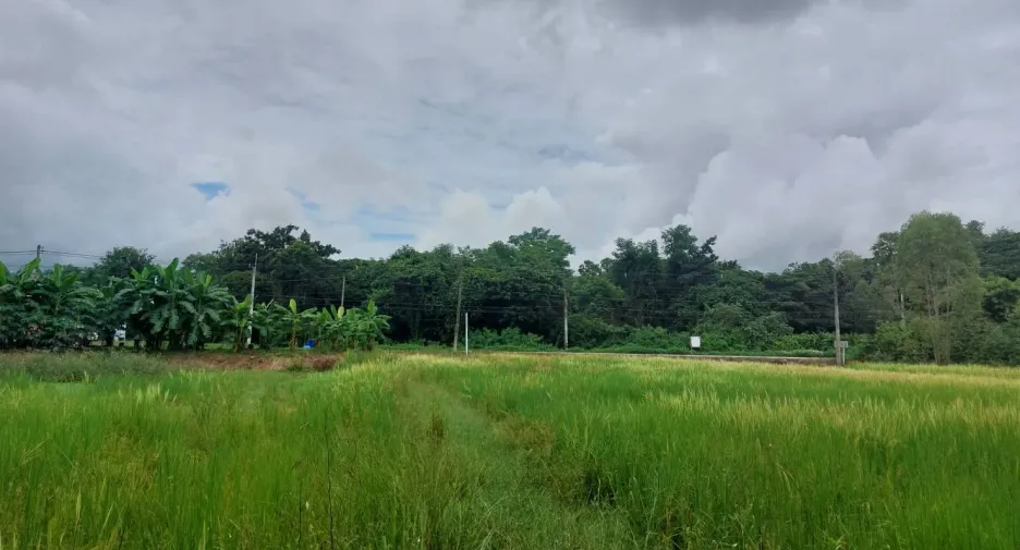For sale land in Phen, Udon Thani