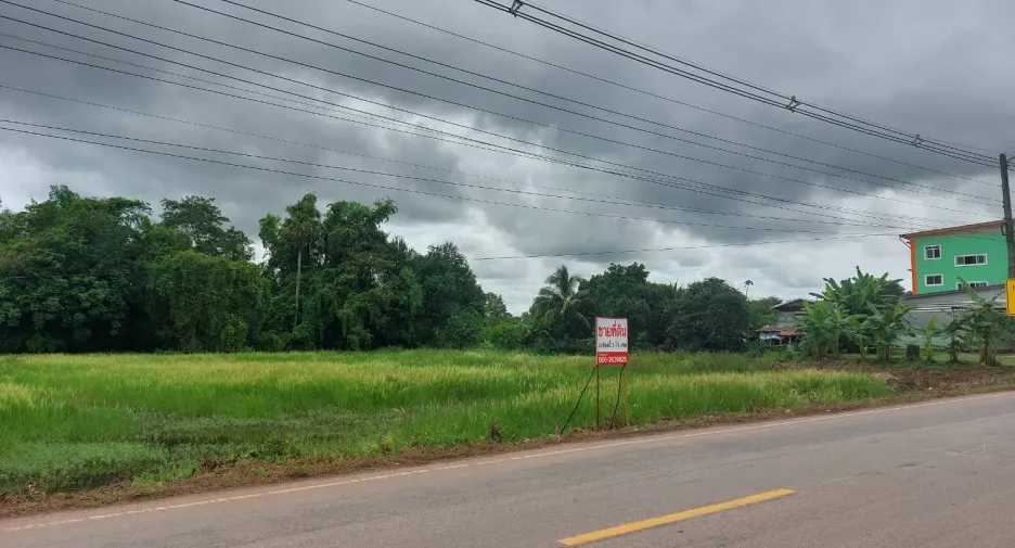 For sale land in Phen, Udon Thani