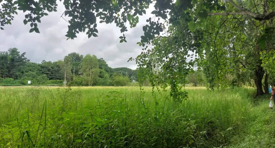 For sale land in Phen, Udon Thani