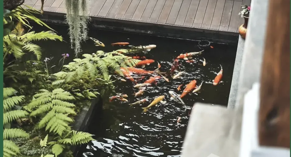 Gewerbefläche zur Miete in Mueang Chiang Mai, Chiang Mai