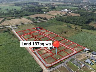 For sale 3 bedrooms land in Pak Chong, Nakhon Ratchasima