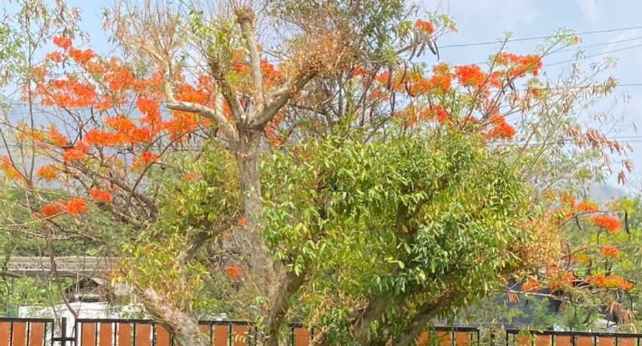 For sale 2 ベッドルーム house in Muak Lek, Saraburi