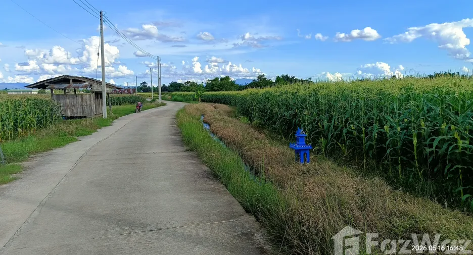 Terreno en venta en Fang, Chiang Mai