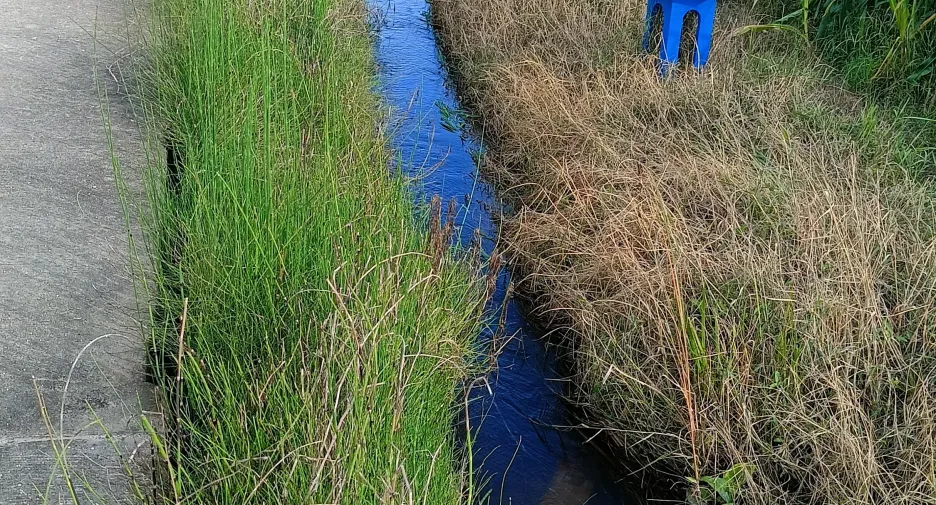 Terreno en venta en Fang, Chiang Mai