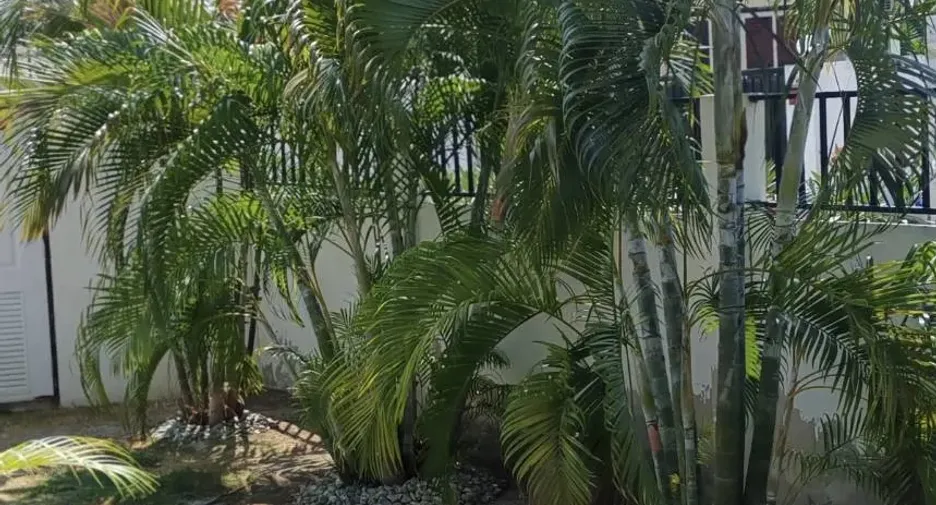Villa en alquiler de 3 habitaciones en Cha Am, Phetchaburi