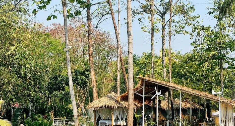 Продажа Участок в Nakhon Chai Si, Накхонпатхом