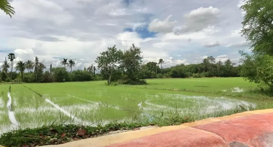 Продажа Участок в Nakhon Chai Si, Накхонпатхом