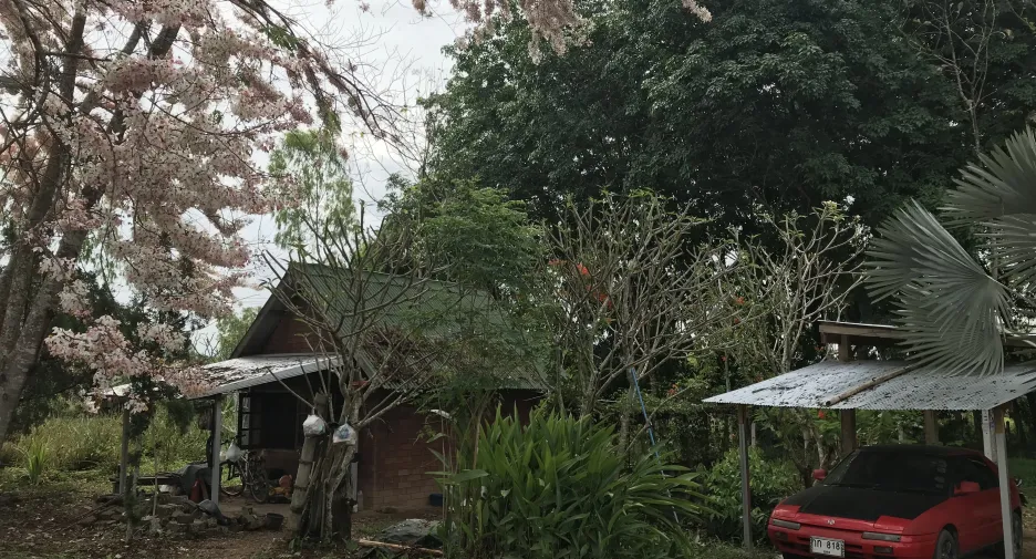 For sale land in Wiang Chiang Rung, Chiang Rai