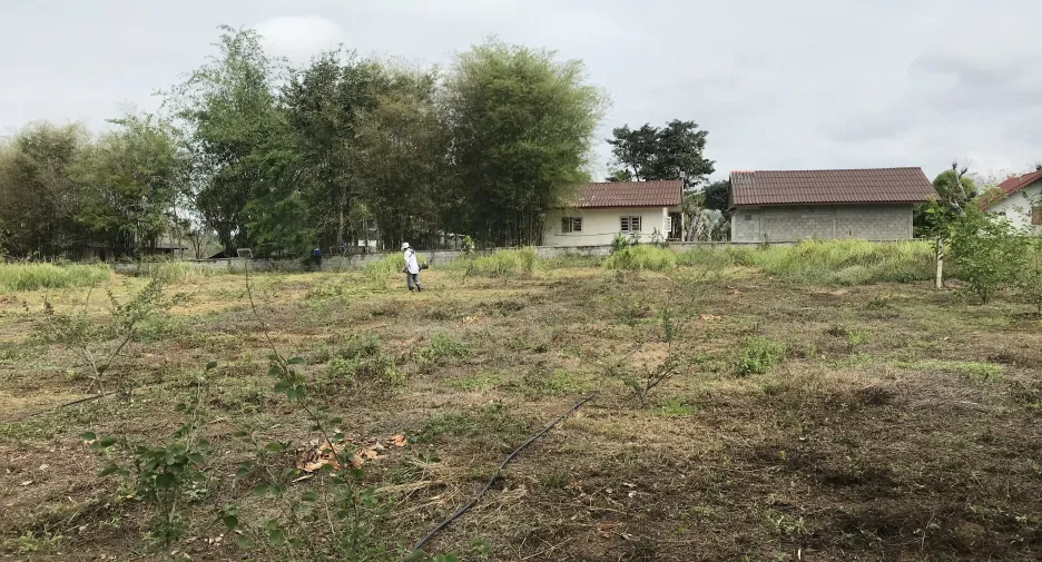 For sale land in Wiang Chiang Rung, Chiang Rai