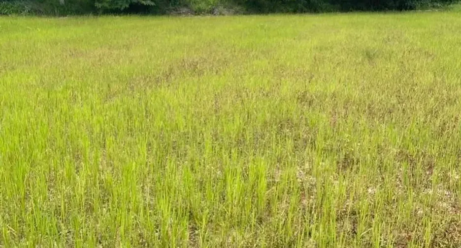 Casa en venta de 2 habitaciones en Mae Tha, Lampang