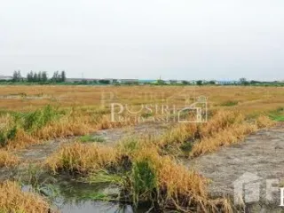 For sale land in Mueang Samut Sakhon, Samut Sakhon