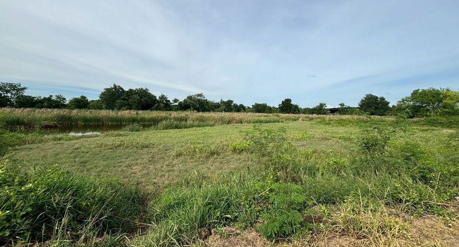 Terreno en venta en Kamphaeng Saen, Nakhon Pathom