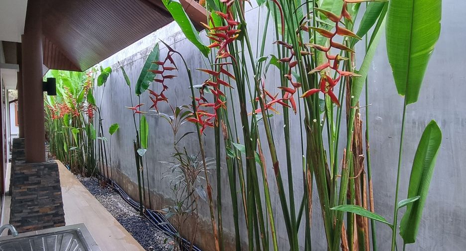 Villa en alquiler de 3 habitaciones en Mueang Phuket, Phuket