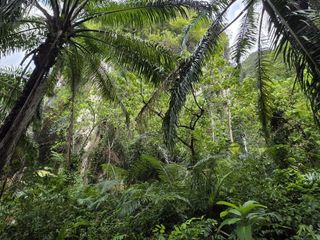 Terreno en venta en Mueang Krabi, Krabi