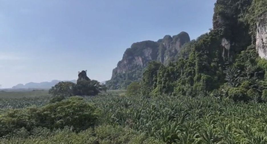 À vendre terrain à Mueang Krabi, Krabi