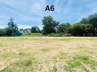 For sale land in Bang Lamung, Chonburi