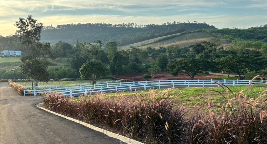 Grundstück zum Kauf in Pak Chong, Nakhon Ratchasima