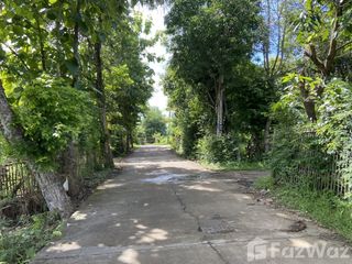 For sale land in San Kamphaeng, Chiang Mai