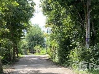 For sale land in San Kamphaeng, Chiang Mai