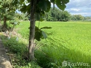 For sale land in San Kamphaeng, Chiang Mai