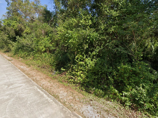 For sale land in Bang Saphan, Prachuap Khiri Khan
