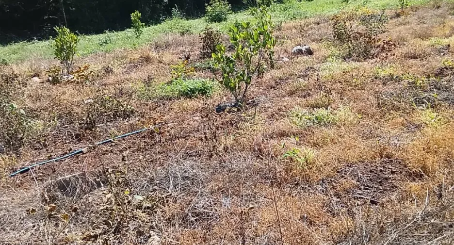 Terreno en venta en Nong Muang, Lopburi