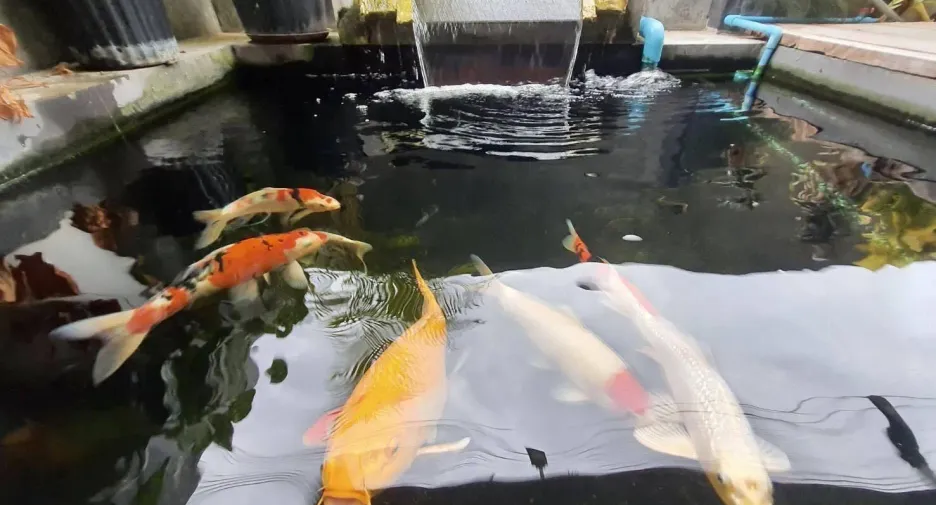 ขาย 3 ห้องนอน บ้านเดี่ยว ใน ห้างฉัตร, ลำปาง