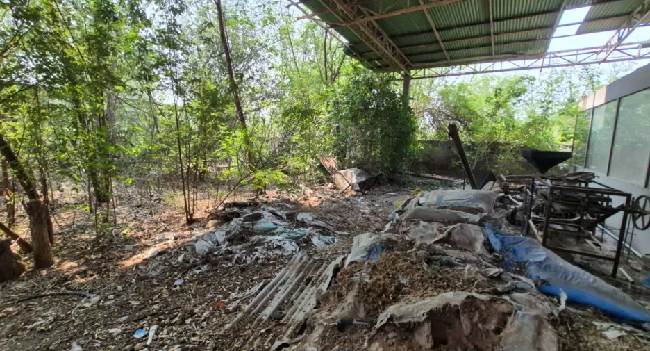 出售 土地 在 Khanu Woralaksaburi, Kamphaeng Phet