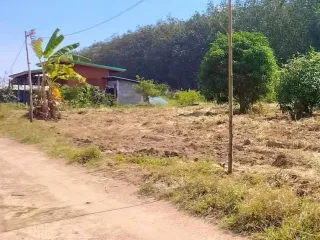 ขาย ที่ดิน ใน นิคมพัฒนา, ระยอง