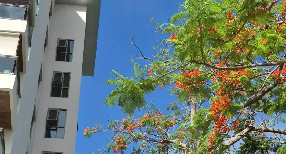 For rent 1 bed condo in North Pattaya, Pattaya