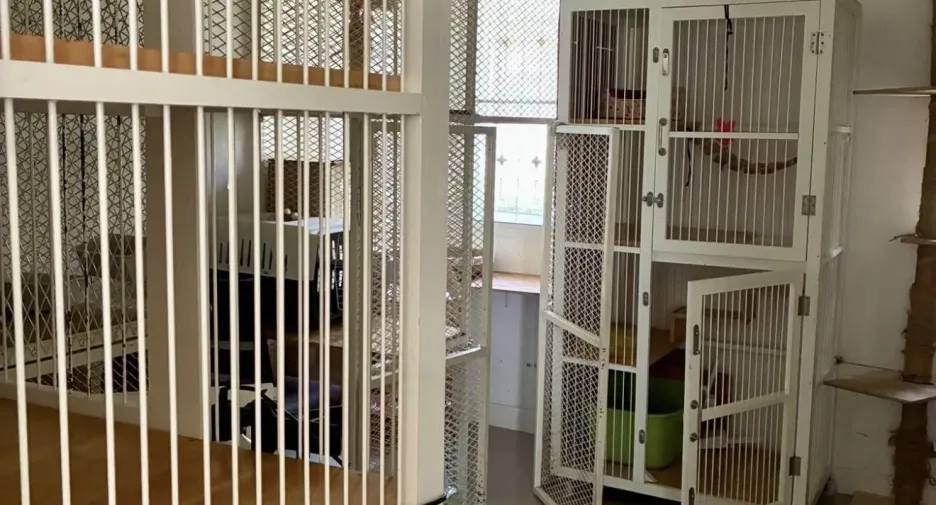 For sale 3 bedrooms villa in Hua Hin, Prachuap Khiri Khan