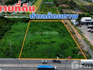 For sale land in Wang Noi, Phra Nakhon Si Ayutthaya